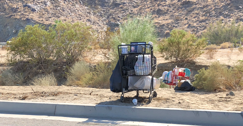 Desert Public Art Installation