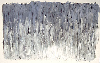 image2a