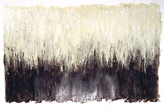 image3a